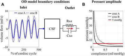 Computational fluid dynamics model to predict the dynamical behavior of the cerebrospinal fluid through implementation of physiological boundary conditions